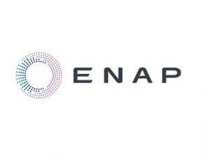 Logo Enap 300x225